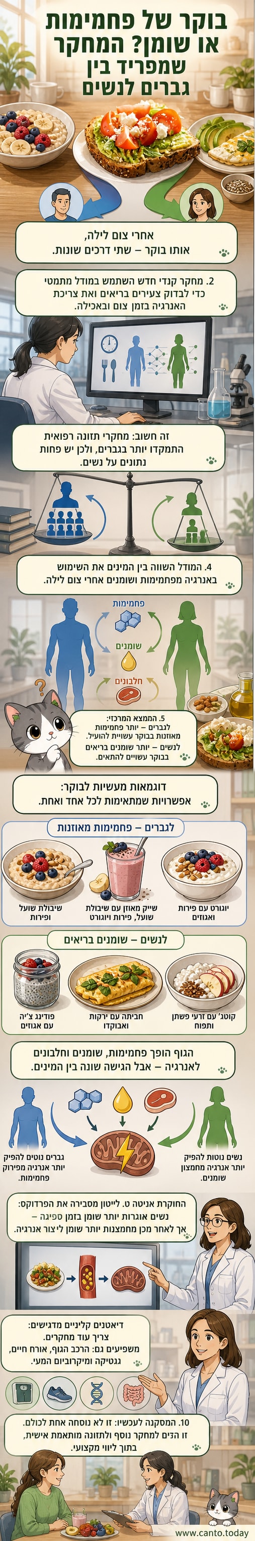איור של ארוחת בוקר עם שני מסלולים: אחד עם דייסת שיבולת שועל ופירות, והשני עם פודינג צ'יה ואגוזים, המייצגים את ההמלצות השונות לגברים ולנשים.