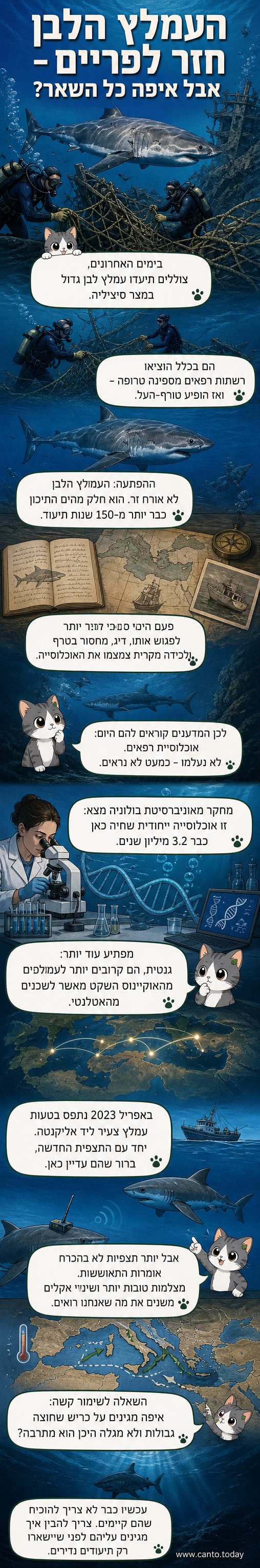 עמלץ לבן גדול שוחה במים כחולים בין שברי ספינה טרופה, עם רשתות רפאים מונפות סביבו.