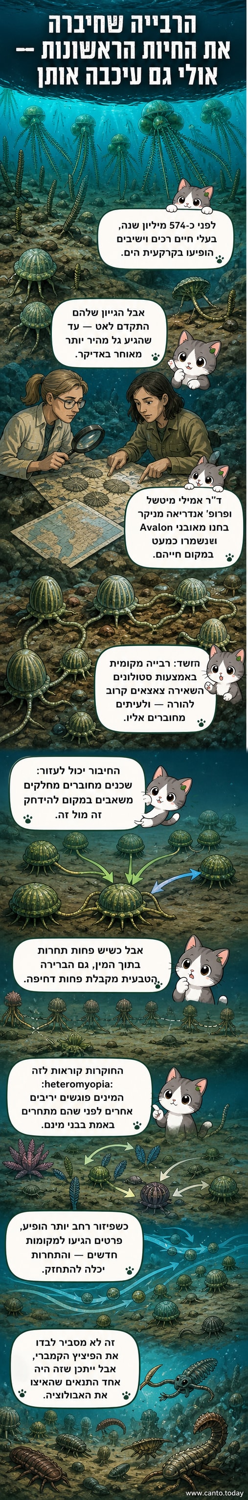 איור של קהילות בעלי חיים קדומים מחוברים באמצעות סטולונים, לצד השוואה לתחרות בין מינים לבין תחרות בתוך מין.