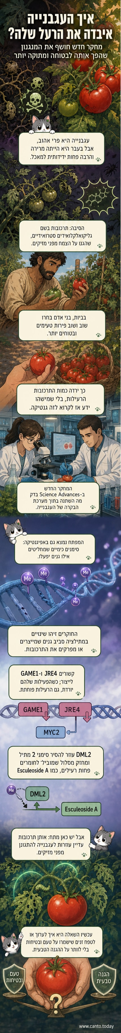 איור של עגבניות בשלות על רקע של דוגמה לאפיגנטיקה – רצועות DNA עם סימונים של מתילציה.