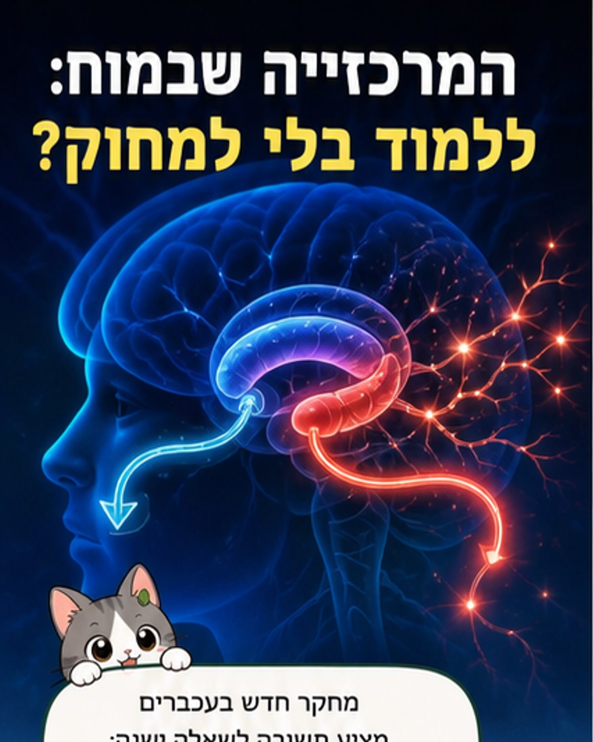 מרכזייה של תאים במוח שומרת על זיכרונות