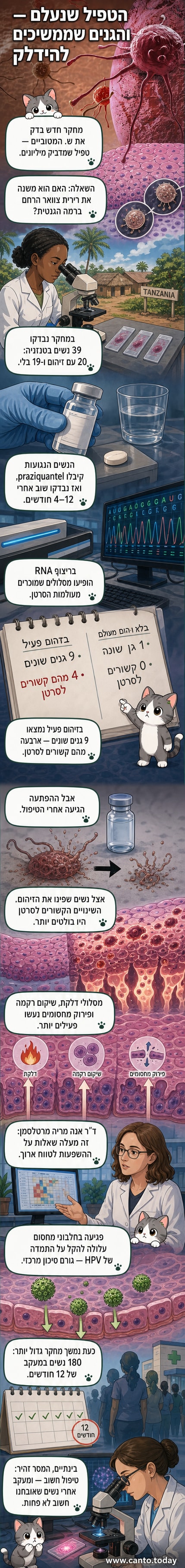 איור של תאי רירית צוואר הרחם עם שינויי ביטוי גנים, טפיל שיסטוזומה ובצדם סמלים של שינויים מולקולריים.