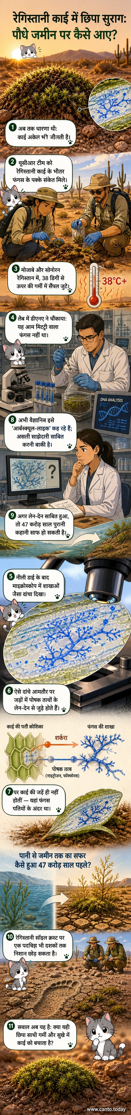 एक रेगिस्तानी चट्टान पर हरी काई के नमूने के क्लोज-अप में माइक्रोस्कोप द्वारा देखे गए फंगस के शाखित संरचना को नीली डाई से चिह्नित किया गया है।