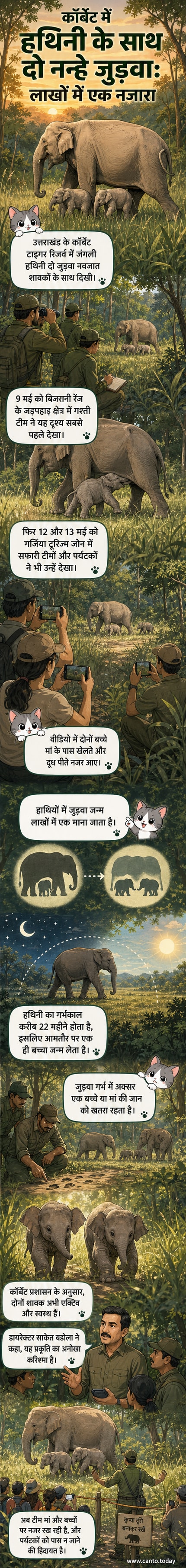 एक जंगली हथिनी अपने दो नन्हे जुड़वा शावकों के साथ कॉर्बेट टाइगर रिजर्व के जंगल में चलती हुई, पृष्ठभूमि में हरियाली और प्राकृतिक दृश्य।