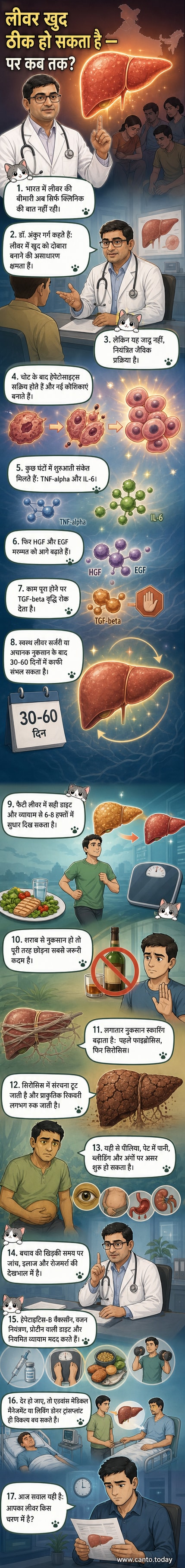 एक विज्ञान-आधारित वेबटून जो मानव लीवर की कोशिकाओं की मरम्मत प्रक्रिया, फैटी लिवर के प्रभाव और सिरोसिस तक के संक्रमण को चरणबद्ध तरीके से दिखाता है।