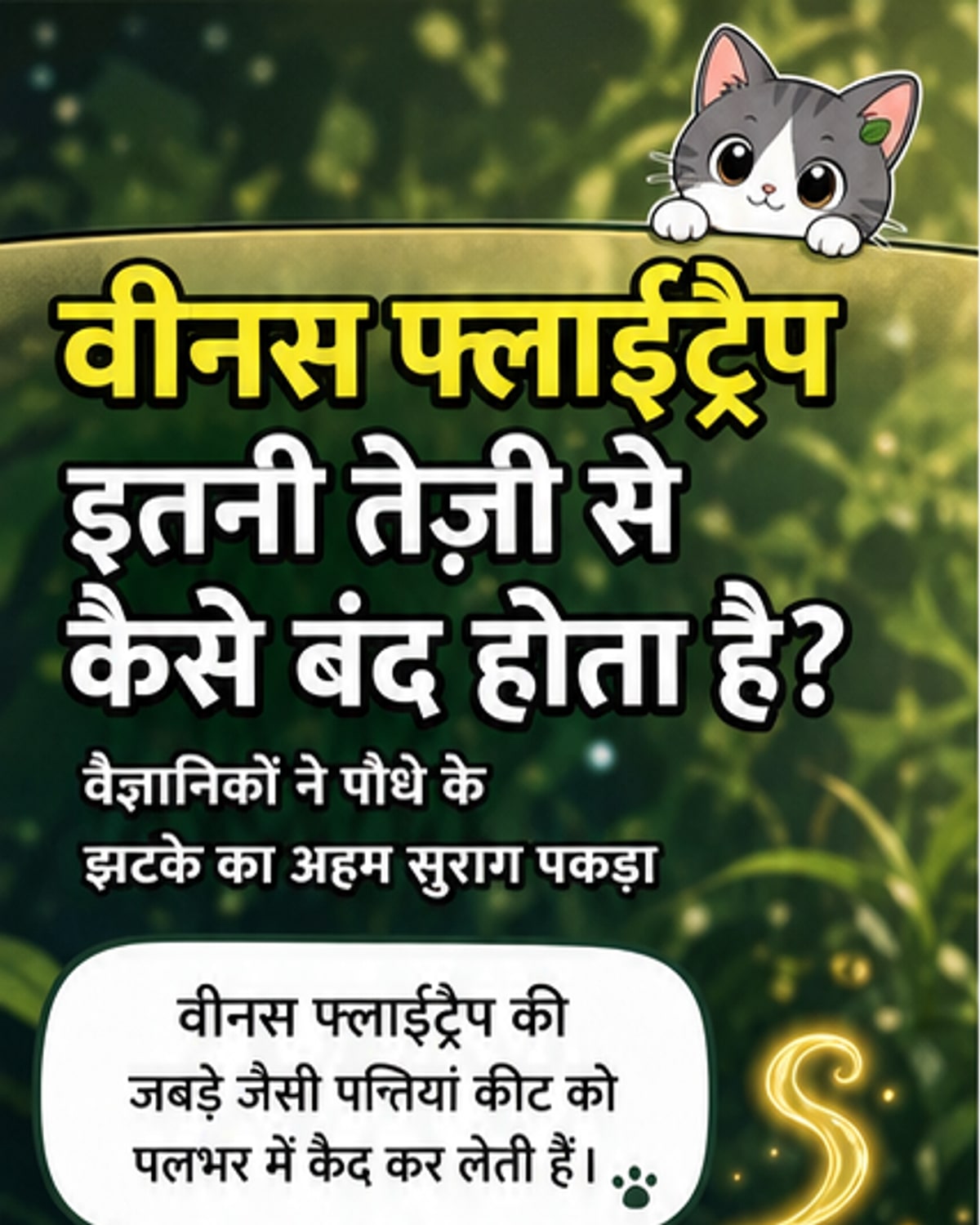 एक वीनस फ्लाईट्रैप पौधे की पत्ती कीट को पकड़ने के लिए बंद होती हुई, नैनो-इंडेंटर उपकरण द्वारा कोशिका नरमता का परीक्षण करते हुए।