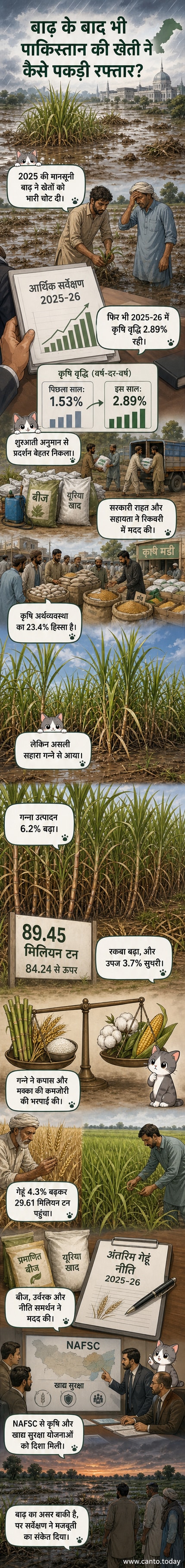 एक पाकिस्तानी किसान खेत में गन्ने की फसल के बीच खड़ा है, पृष्ठभूमि में बाढ़ से नुकसान के निशान और नए बोए गए खेत दिखाई दे रहे हैं।