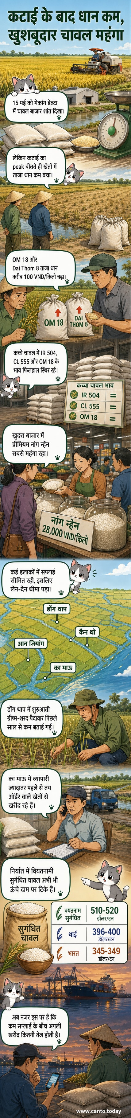 चावल के खेत के पीछे खड़े किसान के साथ वियतनामी झंडे के साथ चावल की थाली, बाजार कीमतों के आंकड़े दिखाते हुए।