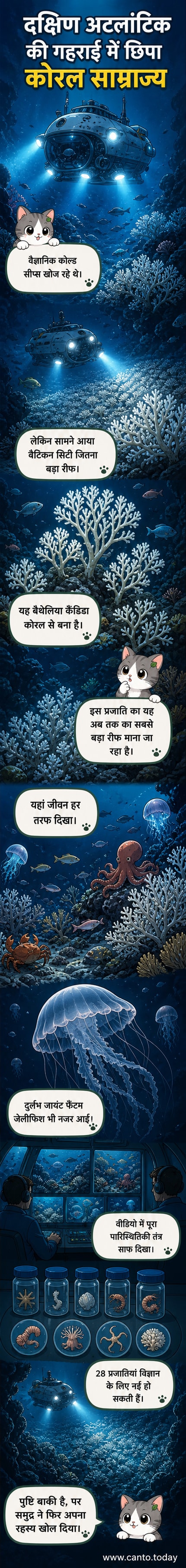 समुद्र के नीचे रंग-बिरंगे मूंगा चट्टान और समुद्री जीवों से भरा एक जीवंत पारिस्थितिकी तंत्र, जिसे वैज्ञानिकों ने दक्षिण अटलांटिक में खोजा।