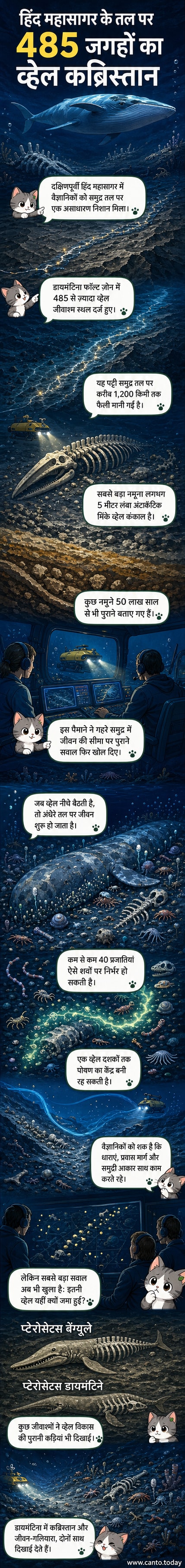 समुद्र तल पर व्हेल के कंकाल और उस पर निर्भर जीवों का एक दृश्य, जिसमें घोंघे, कीड़े और क्रस्टेशियन शामिल हैं।