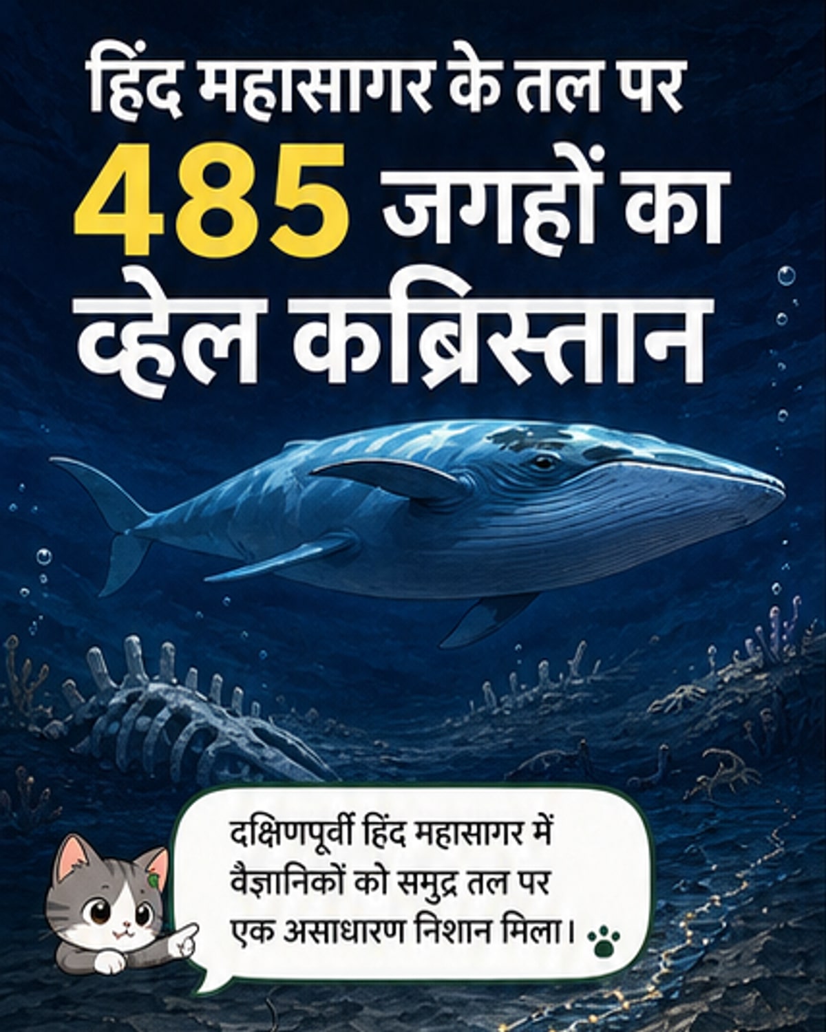 इतिहास का सबसे बड़ा व्हेल कब्रिस्तान