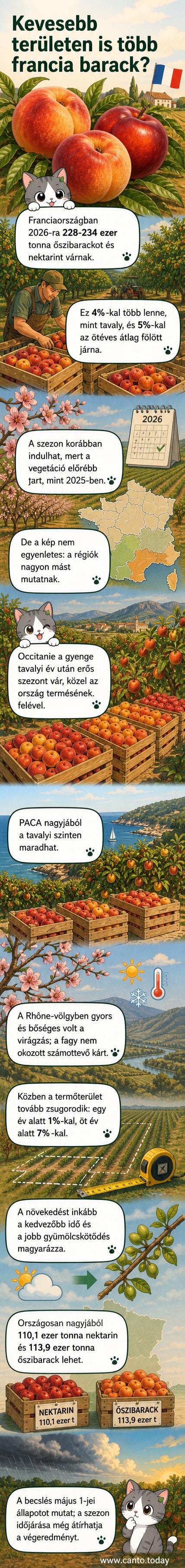 Franciaország térképe, kiemelve a fő termelőrégiók: Occitania, Provence–Alpes–Côte d’Azur és Auvergne–Rhône-Alpes, mellett őszibarackágynál álló termelőkkel.