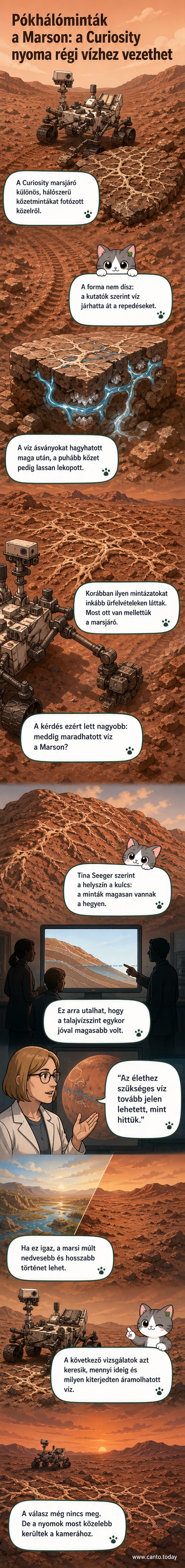 A Mars felszínén pókhálóra emlékeztető, finom hálószerű kőzetmintázatok láthatók, amelyeket a Curiosity marsjáró fényképezett le.