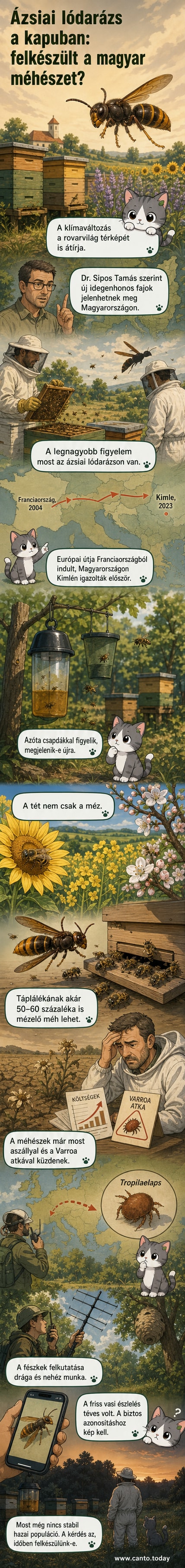 Ázsiai lódarázs közelről, fekete testén sárga sávokkal, egy fa ágán ülve