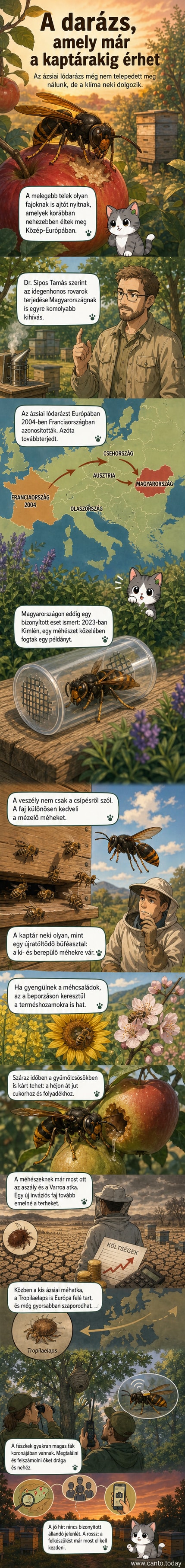 Illusztráció: ázsiai lódarázs repül egy méhkas közelében, a háttérben mezőgazdasági táj.