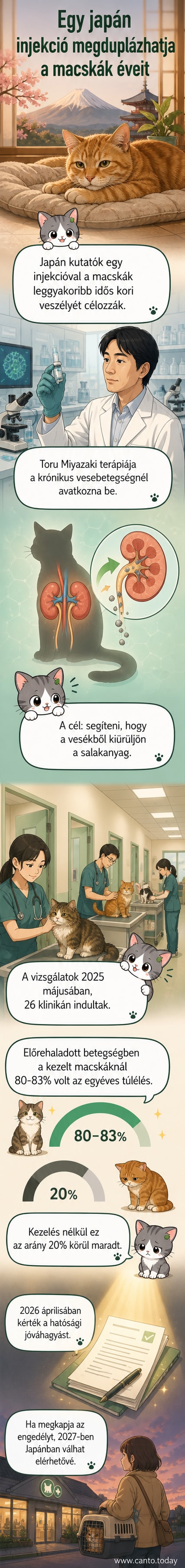 Macska ül egy orvosi labor előtt, háttérben kutatók mikroszkópokkal. Illusztráció, amely a japán tudósok vesebetegség elleni injekciójának áttörését szimbolizálja.