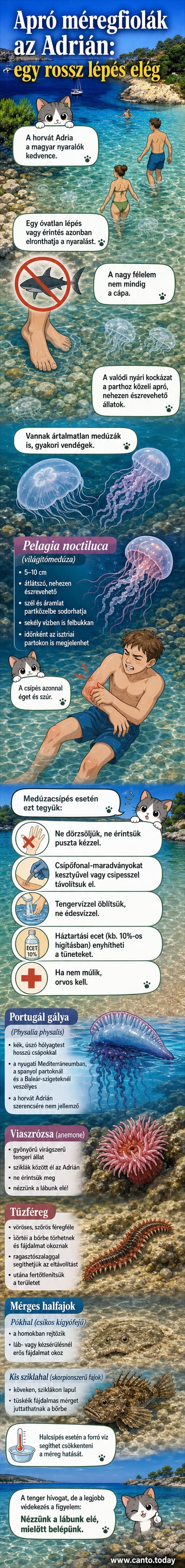 Áttetsző medúza, viaszrózsa és mérges hal rajzai a sekély tengerfenéken, figyelmeztető ikonokkal körbevéve
