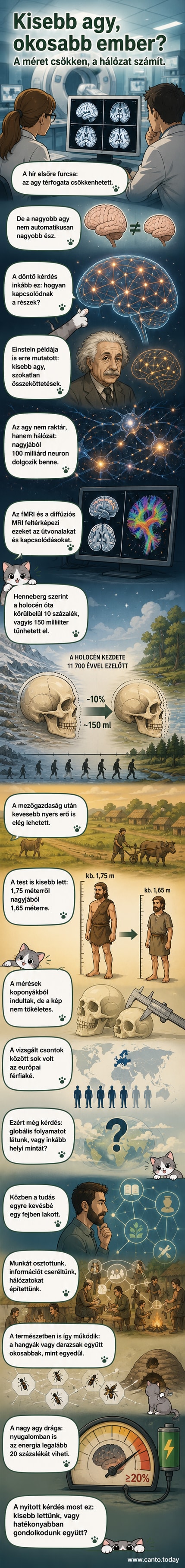 MRI-vizsgálatot végznek egy betegen, a képernyőn agy metszeti képe látható, a háttérben orvosi berendezések