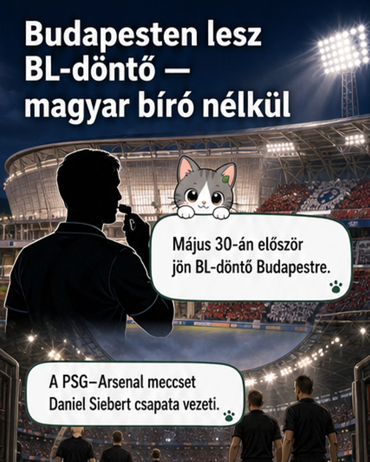 A BL döntői magyar bírók kezében
