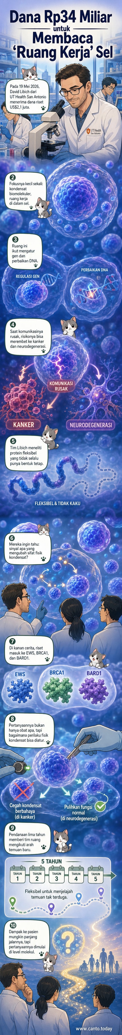 Ilustrasi digital sel punca dengan struktur kondensat biomolekuler di dalam sel, menunjukkan proses regulasi gen dan perbaikan DNA yang sedang diteliti oleh David Libich.