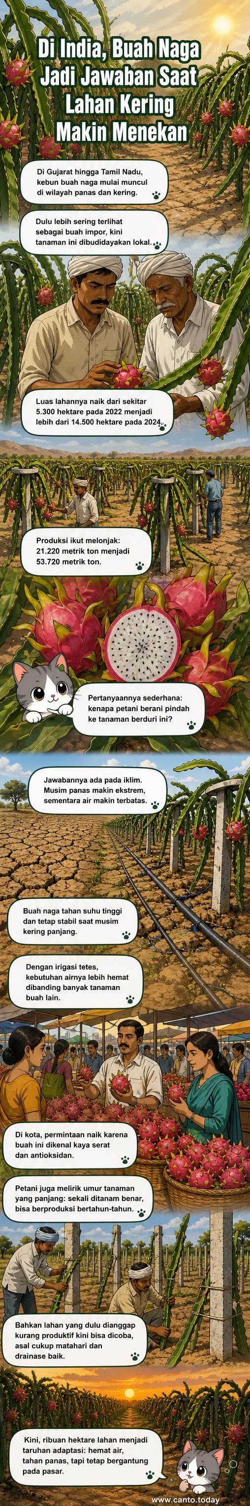 Ilustrasi petani di India merawat kebun buah naga di bawah terik matahari, dengan tiang beton sebagai penyangga tanaman merambat.