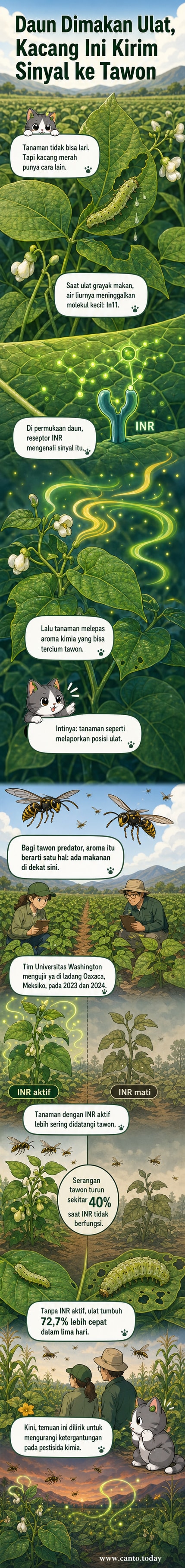 Ilustrasi tanaman kacang yang melepaskan sinyal kimia ke udara saat daunnya dimakan ulat, menarik tawon predator yang terbang mendekat untuk memangsa ulat tersebut.