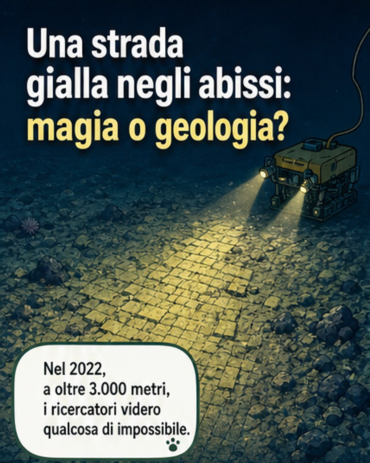 Una 'strada di mattoni gialli' negli abissi