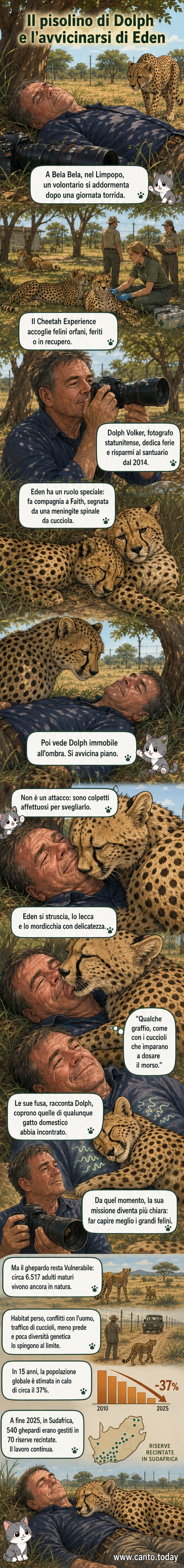 Un uomo sdraiato all'ombra di un albero in un santuario sudafricano si sveglia con un ghepardo che lo lecca affettuosamente sul viso.