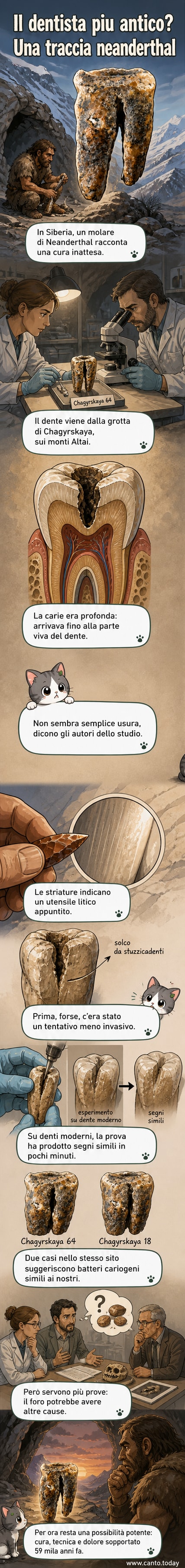 Illustrazione di un Neanderthal che utilizza uno strumento litico per curare un dente, con dettagli del molare danneggiato e della cavità trattata.