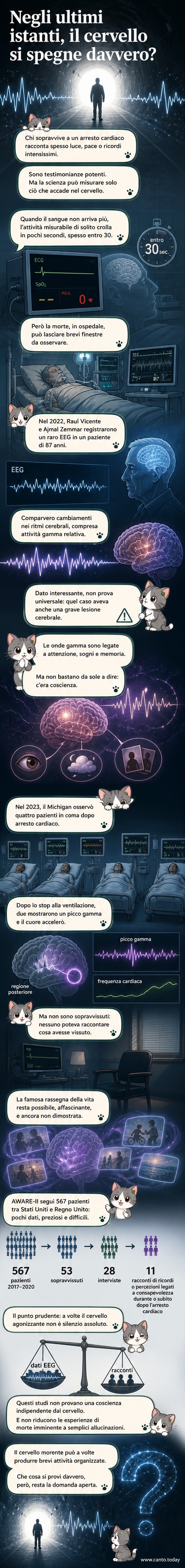 Illustrazione di un cervello umano stilizzato con onde gamma attive in fase di transizione verso la morte, su sfondo scuro.