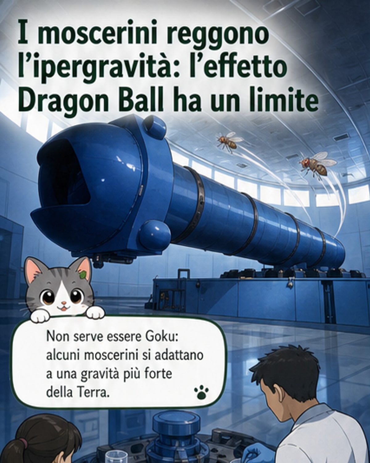 I moscerini diventano super dopo l'addestramento in ipergravità