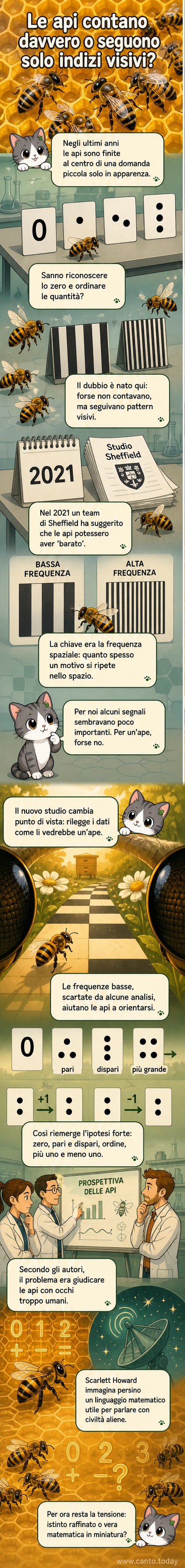 Un'ape posata su un fiore giallo, con un'illustrazione stilizzata di numeri e simboli matematici fluttuanti nell'aria intorno a lei.