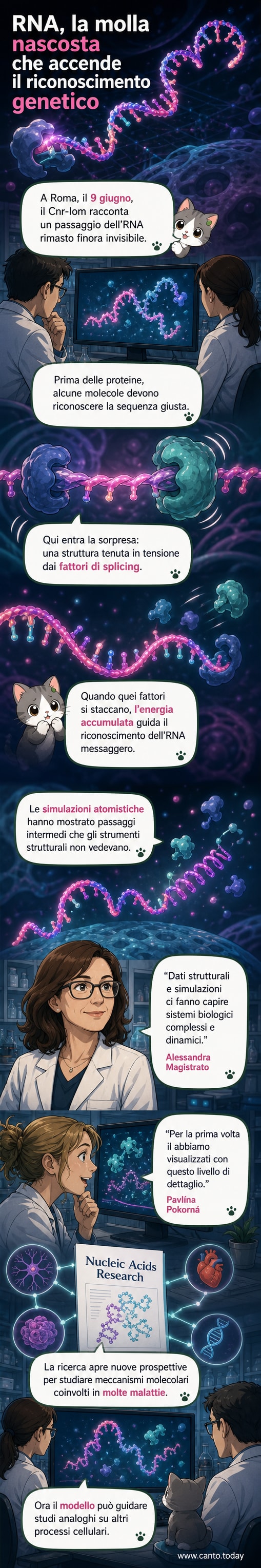 Illustrazione scientifica di una molecola di RNA in forma di molla, con proteine che la trattengono e un rilascio energetico che attiva il riconoscimento genetico.