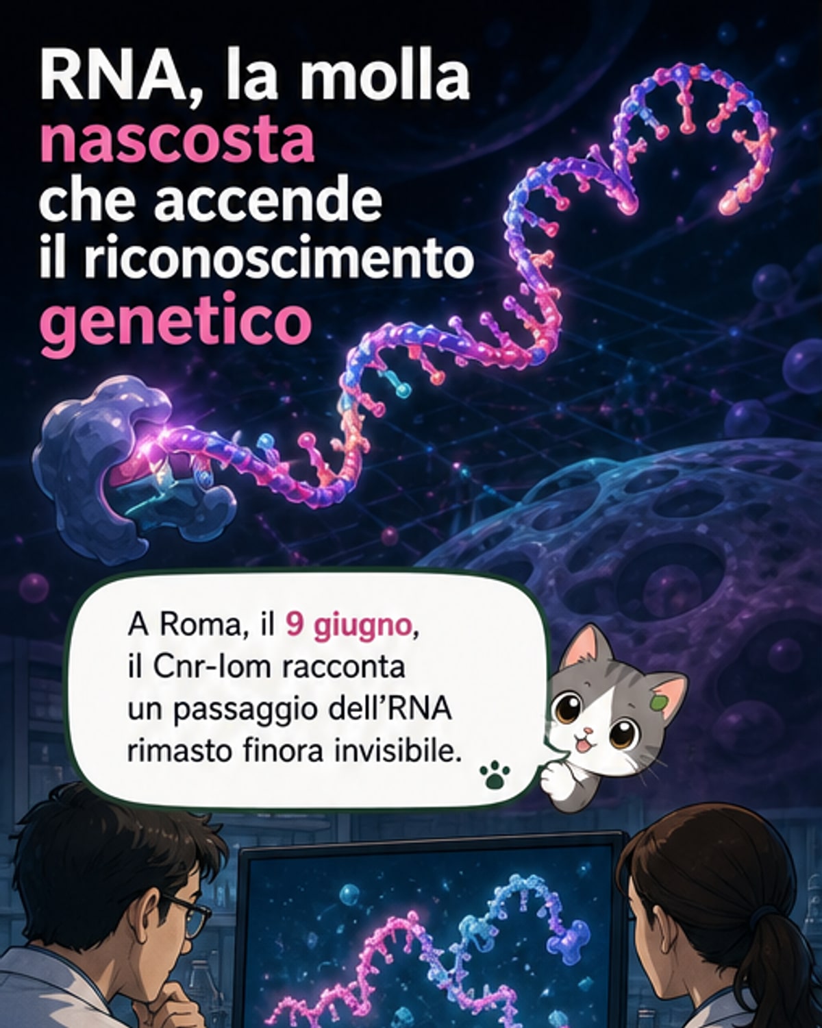La molla nell’RNA che attiva le proteine