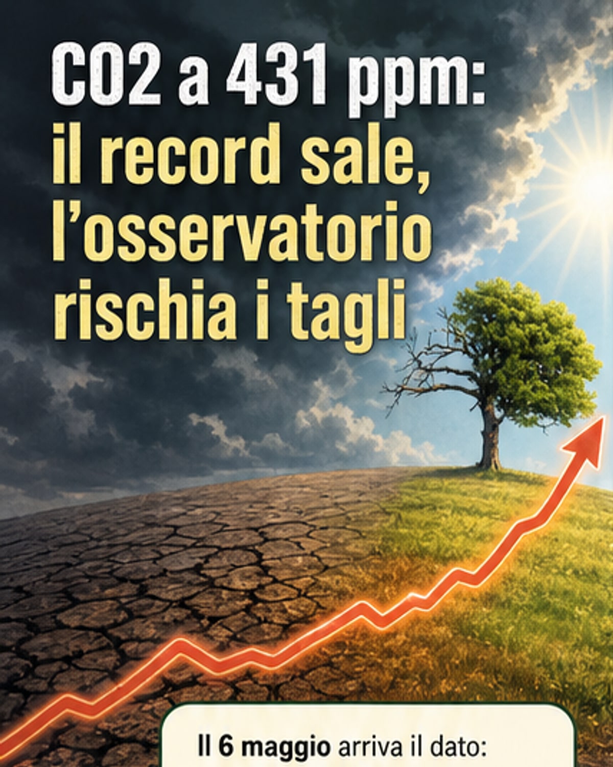 CO2 a livello record: 431 ppm