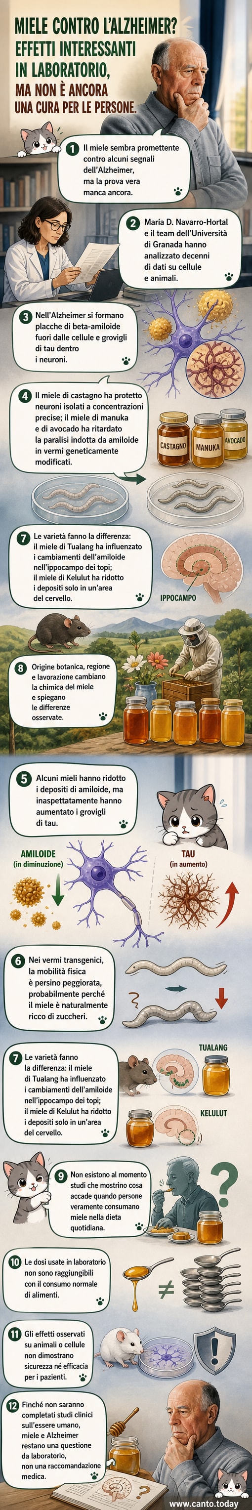 Un barattolo di miele con un cervello stilizzato in trasparenza, dove si vedono placche amiloidi e grovigli tau parzialmente attenuati, ma con una freccia che indica un aumento di tau.