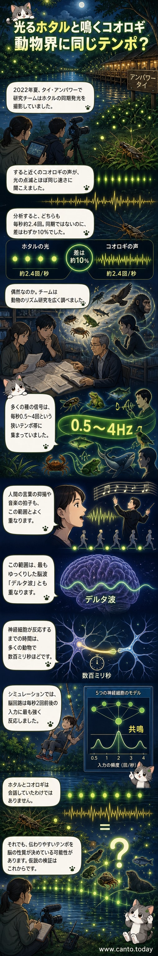 川岸で光るホタルと草むらで鳴くコオロギが、同じリズムで信号を送っている様子を描いた科学イラスト