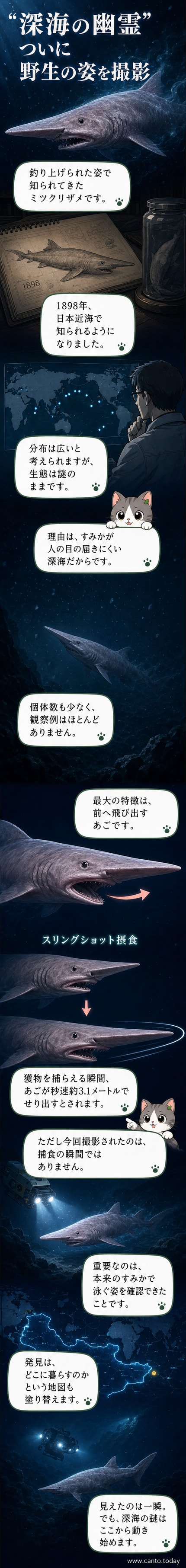 暗い深海を泳ぐゴブリンシャークの姿。口が前方に飛び出す特徴的なあごの構造が強調されています。