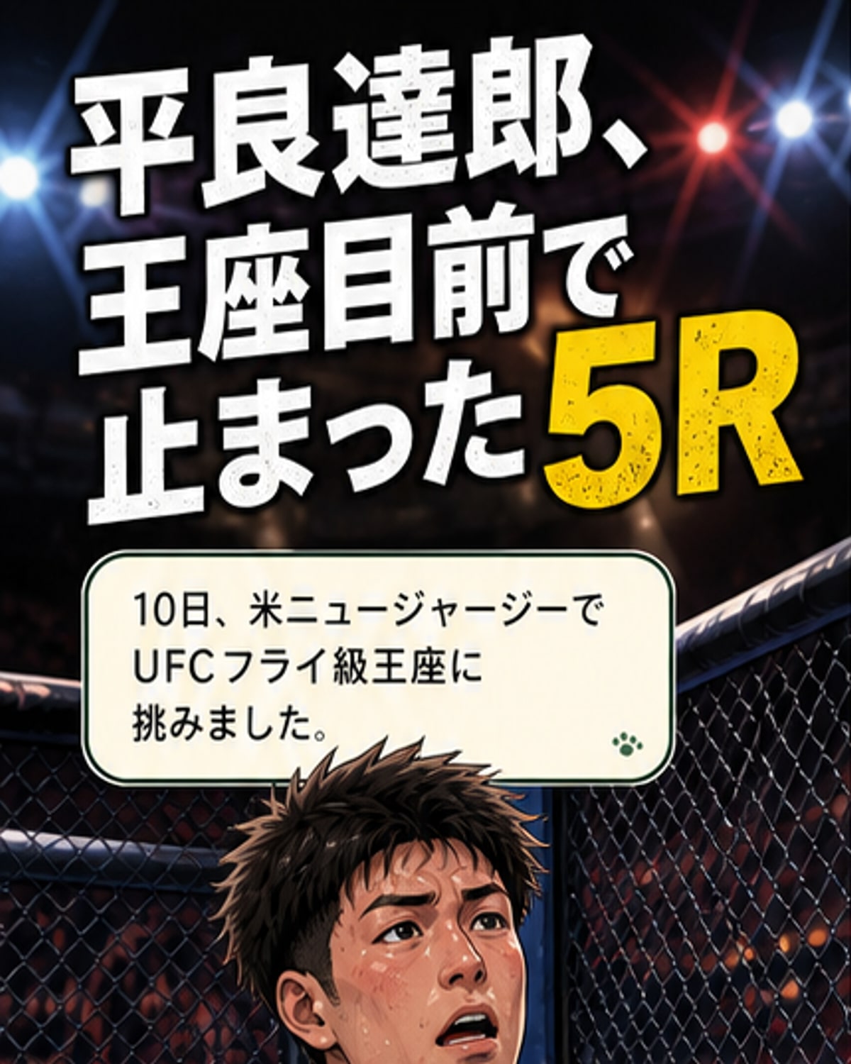 平良、UFC王座挑戦でTKO負け