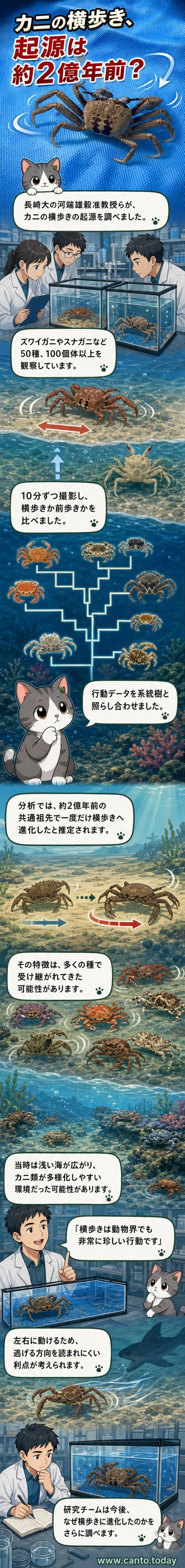 カニが水槽内で横歩きしている様子。研究対象となったツノメガニの写真が背景に。