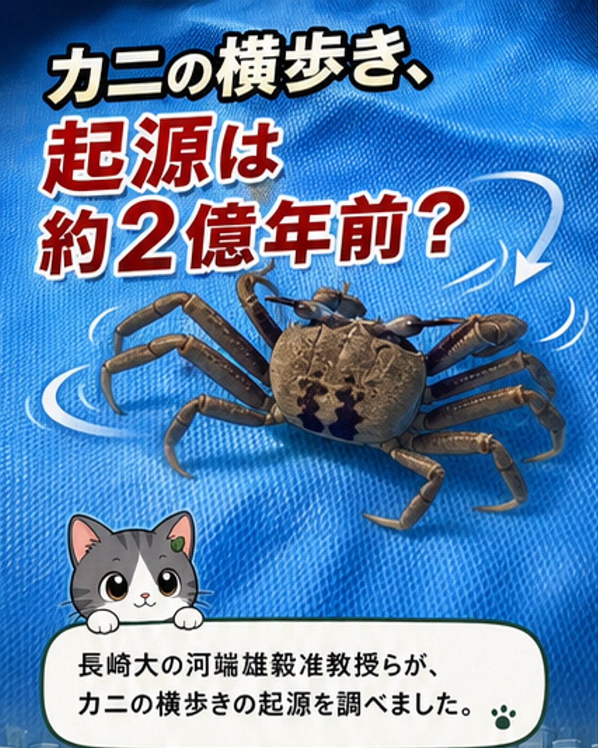 カニの横歩き、2億年前に進化