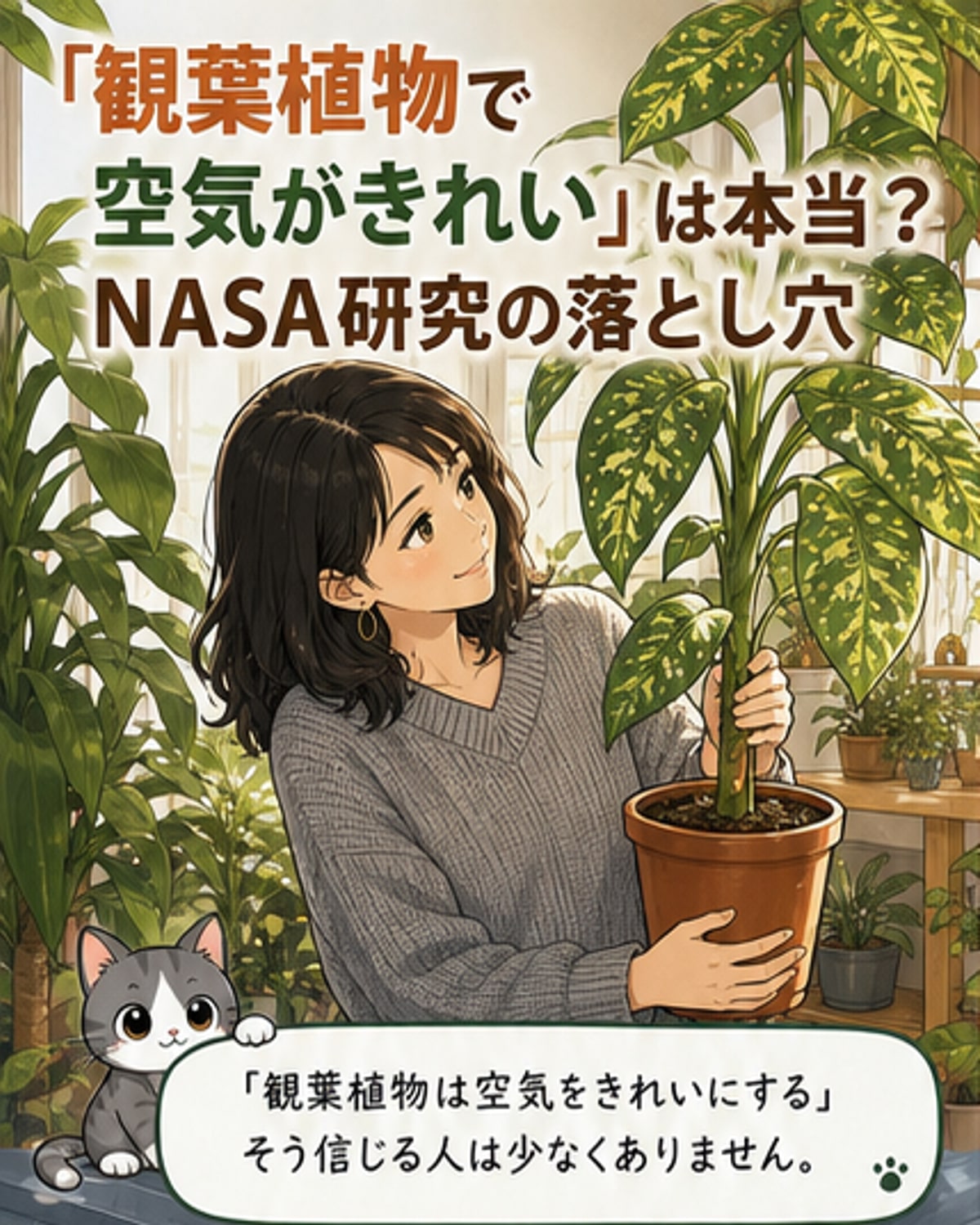 観葉植物で空気は浄化される？NASA研究の誤解