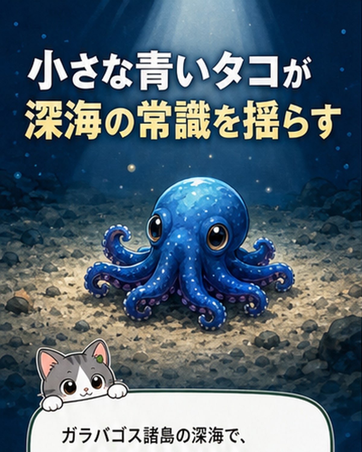 ガラパゴス深海に青い小型タコ