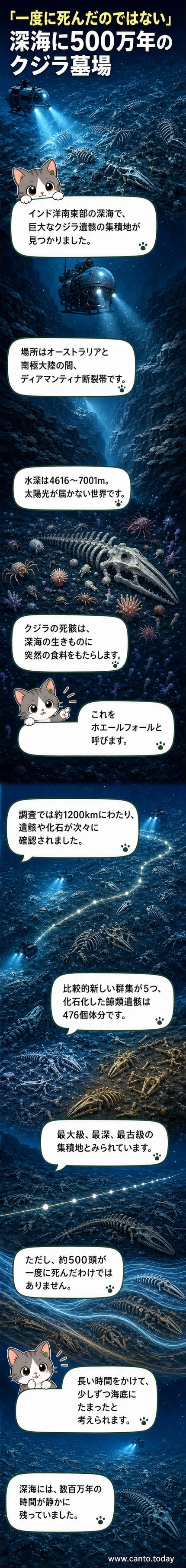 深海の暗闇に横たわるクジラの骨格と、それを取り囲む無数の微生物や甲殻類の様子を描いたイラスト。遠くに潜水艇のライトが見える。