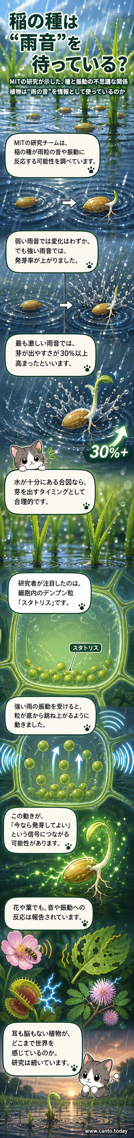 水たまりに雨粒が落ちる中、イネの芽が地面から伸びる様子。背景には音波の可視化イメージ。