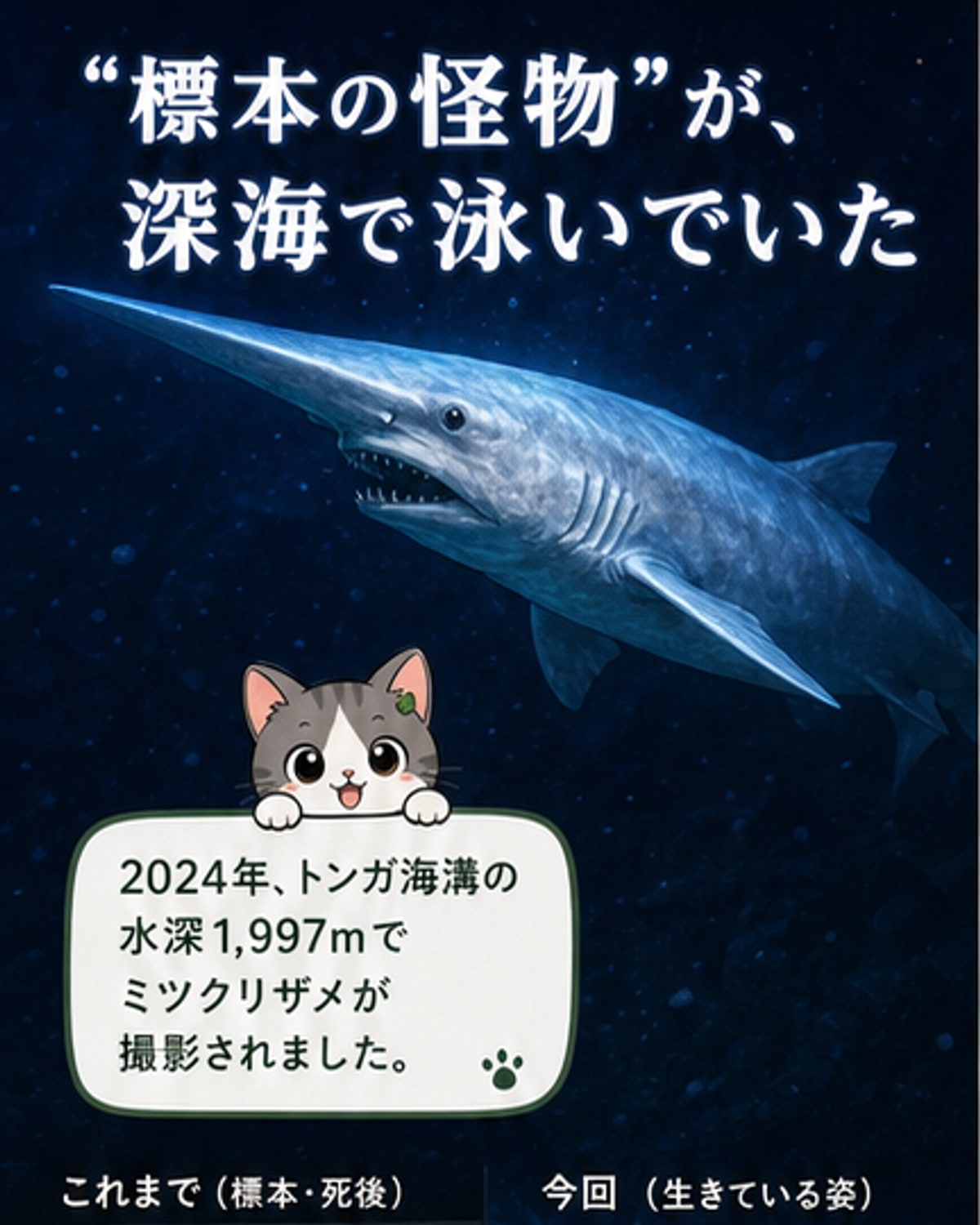 暗い深海をゆっくりと泳ぐゴブリンシャークの姿。ピンクがかった細長い体と突き出した吻が特徴的。