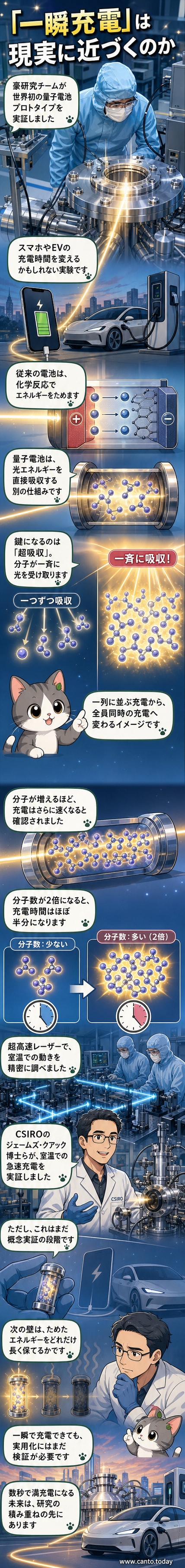 光を一斉に吸収する有機色素分子のイメージ。微小な箱（マイクロキャビティ）の中に分子が密集し、光と強く結びついている様子が描かれている。