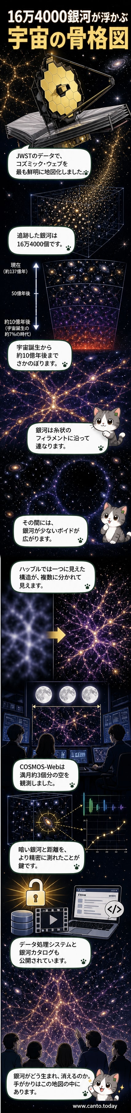 ジェイムズ・ウェッブ宇宙望遠鏡が捉えた宇宙の骨格構造「コズミック・ウェブ」の地図。明るい黄色の領域が銀河が密集するフィラメントや銀河団、暗い部分がボイド(空洞)を示す。
