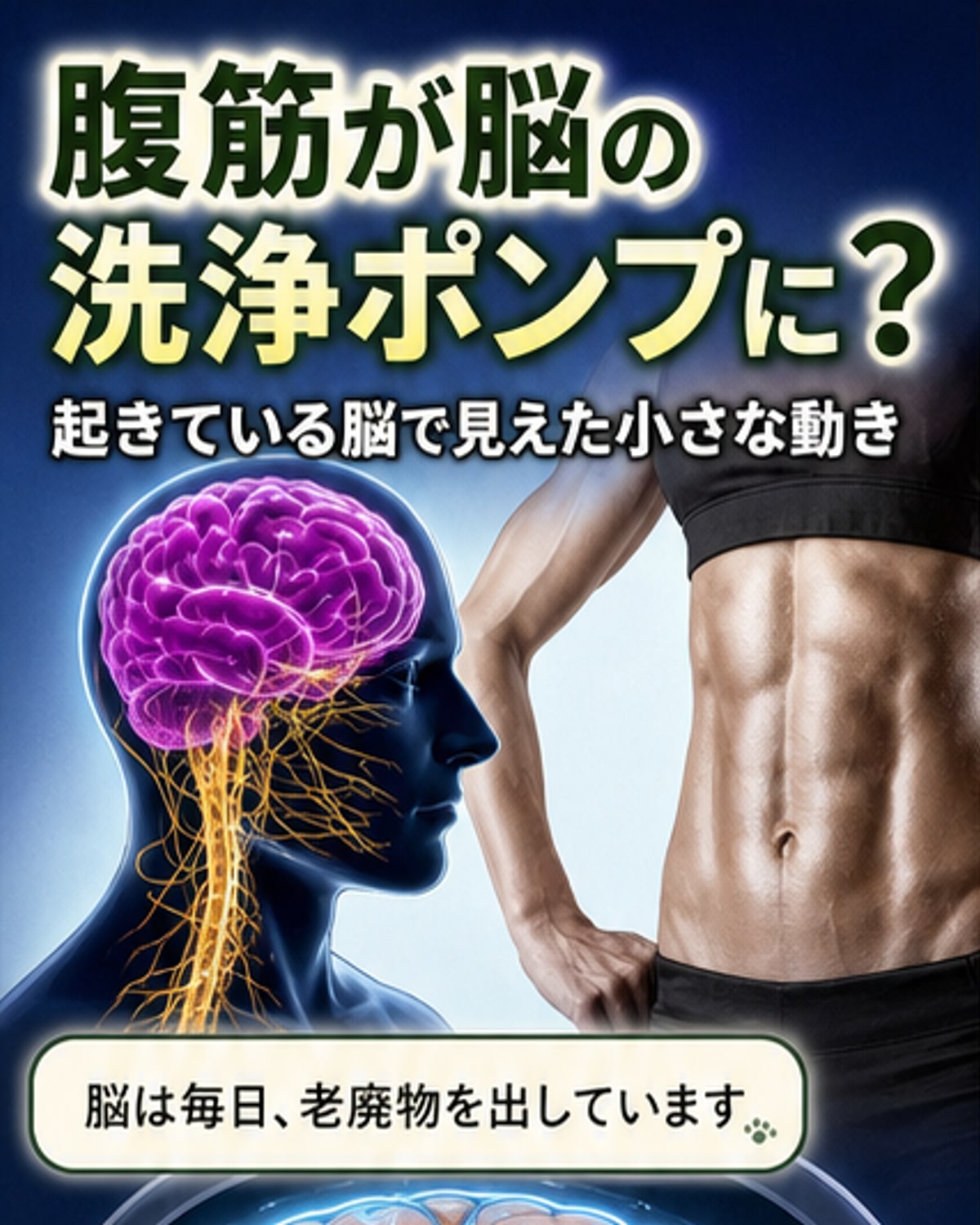 腹筋が脳の「洗浄ポンプ」だった可能性