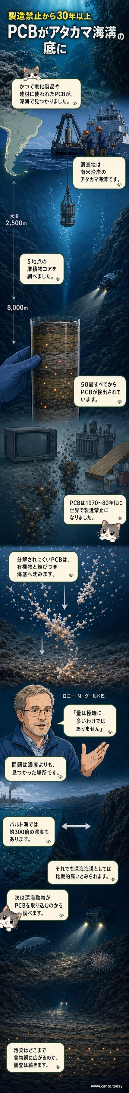 暗い深海の海溝に堆積する汚染物質を示す、青黒い海底と粒子が沈む様子のイラスト。中央にPCBの分子構造が小さく描かれています。